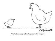 charles-barsotti-you-re-free-range-when-i-say-you-re-free-range-new-yorker-cartoonchiken